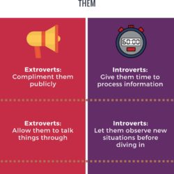 Extroverts and Introverts